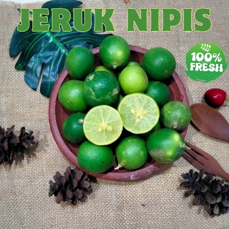 Jual Jeruk Nipis Segar 1kg Kesehatan Masakan Citrus Aurantifolia