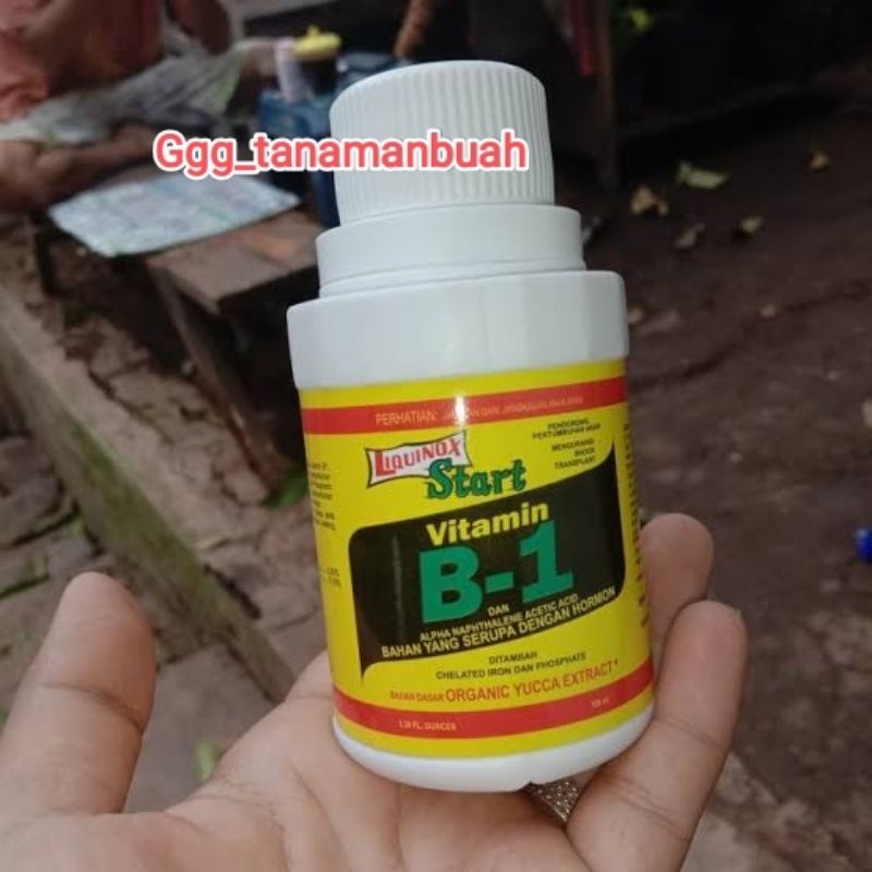 Jual Pupuk Vitamin B1 Tanaman Liquinox Original | Shopee Indonesia