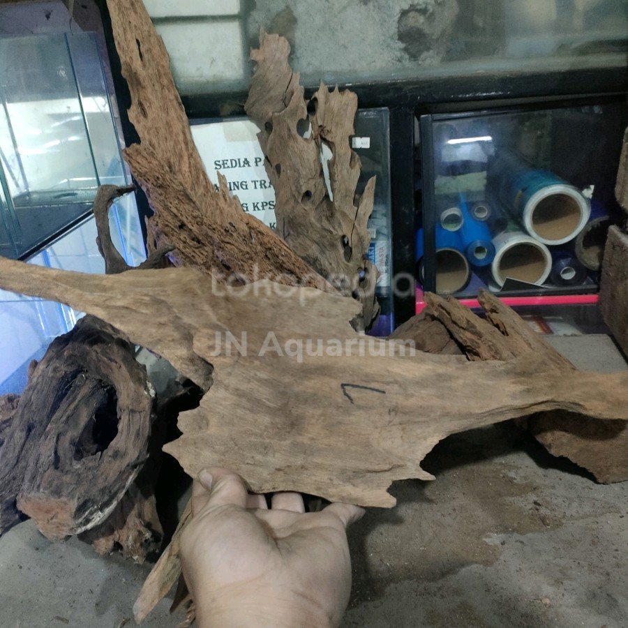 Jual Akar Rentek Hiasan Aquarium Aquascape Uk. L | Shopee Indonesia