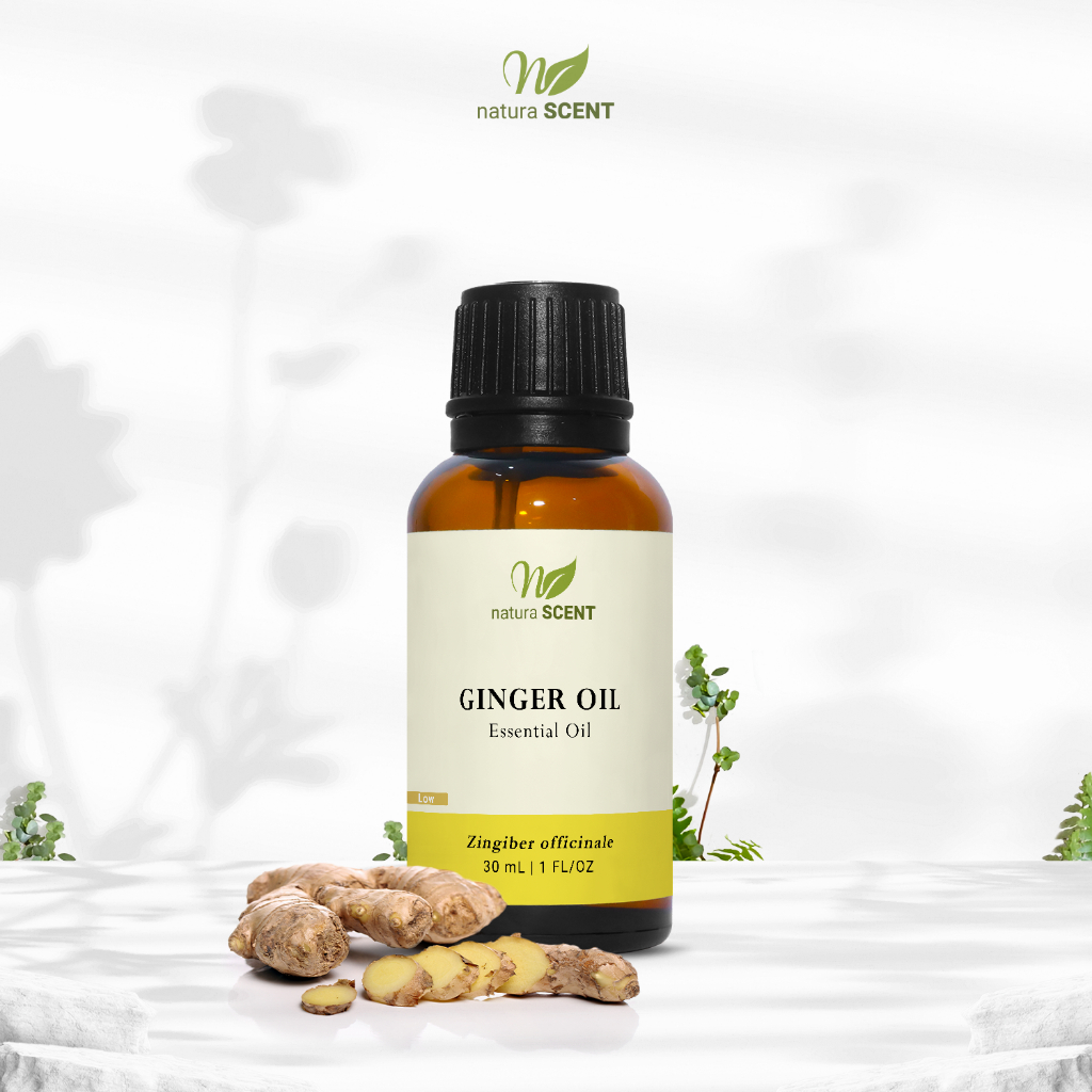 Jual Natura Scent Ginger Oil / Minyak Jahe / Ginger Essential Oil