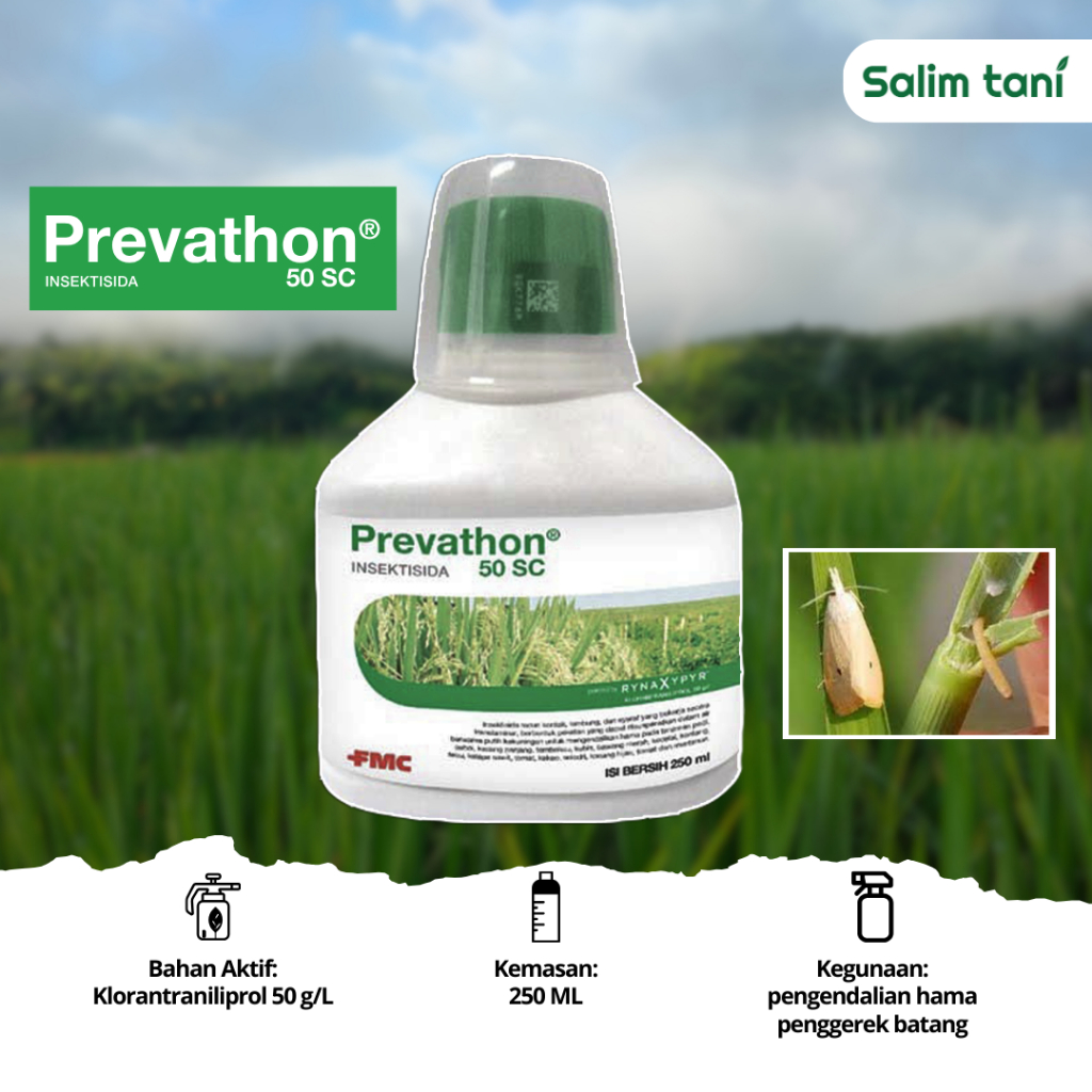 Jual Prevathon 50 SC - 250 ml (Insektisida) Pengendali Hama Penggerek ...