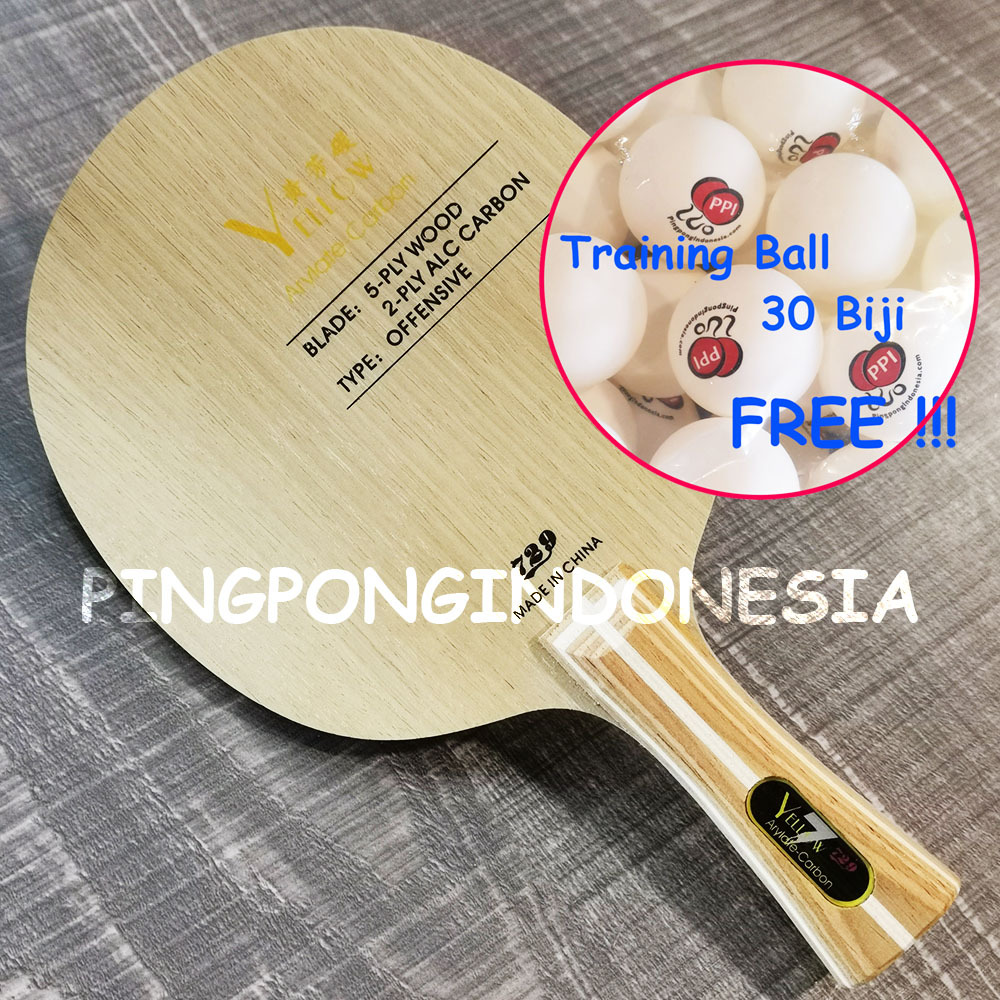 Lagi Promo Ball Collector - Jaring Pemungut Bola Pingpong Tenis Meja  Huieson Hemat