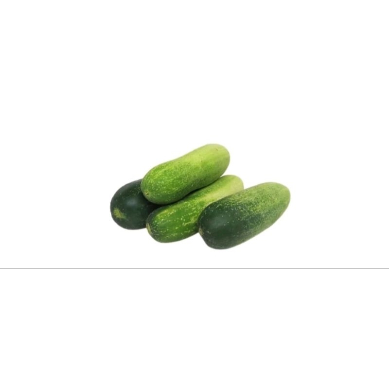 Jual Timun Besar 500G / Timun Muda Timun Bonteng Timun Hijau | Shopee ...