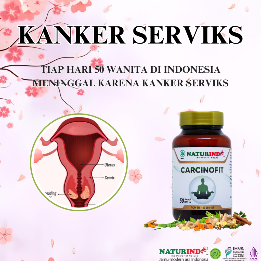 Jual Obat Herbal Kanker Serviks Cancer Leher Rahim Stadium 1 2 3 4