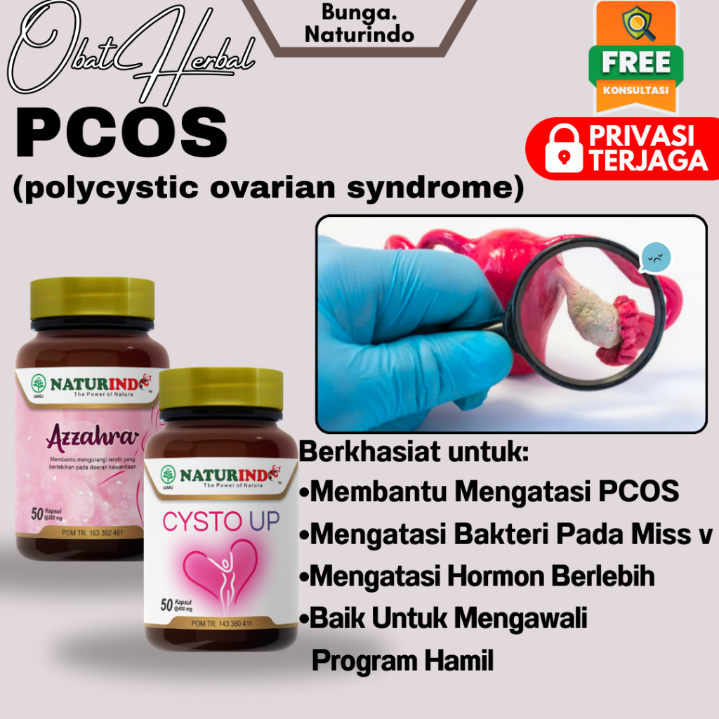 Jual Obat Herbal PCOS Polycystic Ovarian Syndrome Sindrom Polikistik ...