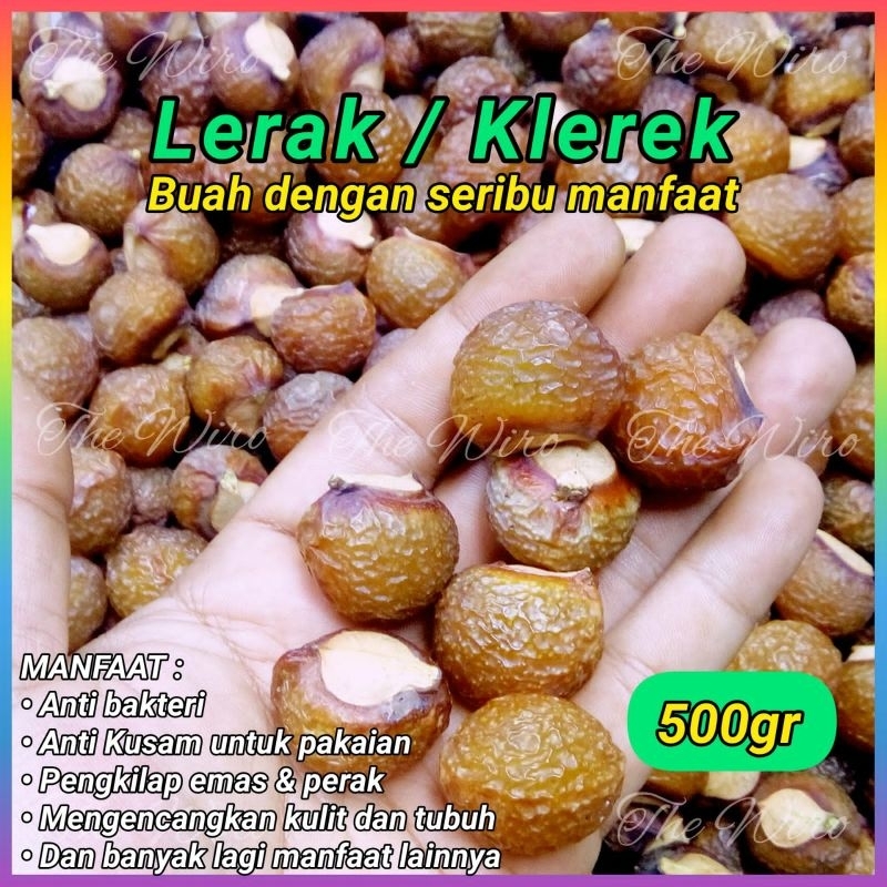 Jual buah lerak klerek | Shopee Indonesia