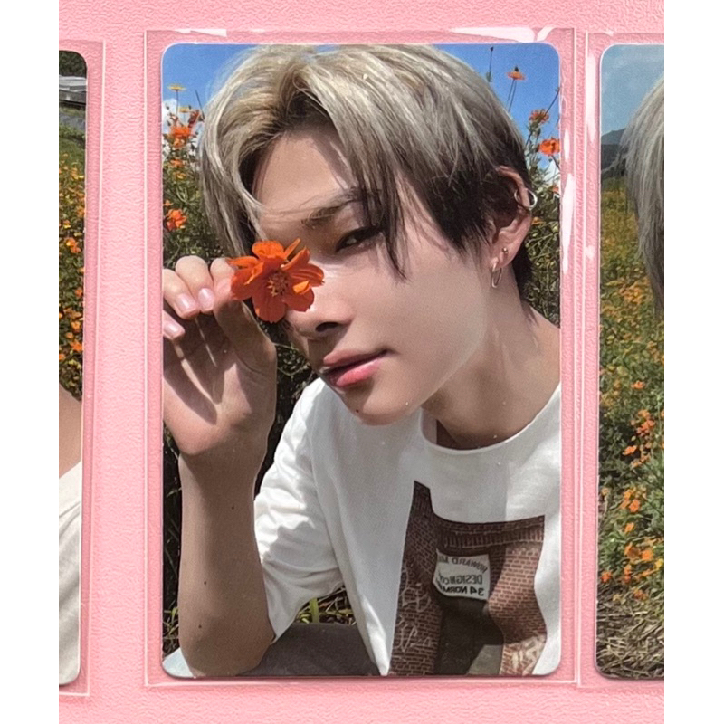 Jual [Ready] Photocard PC ENHYPEN ORANGE BLOOD Weverse Ksana Kalpa ...