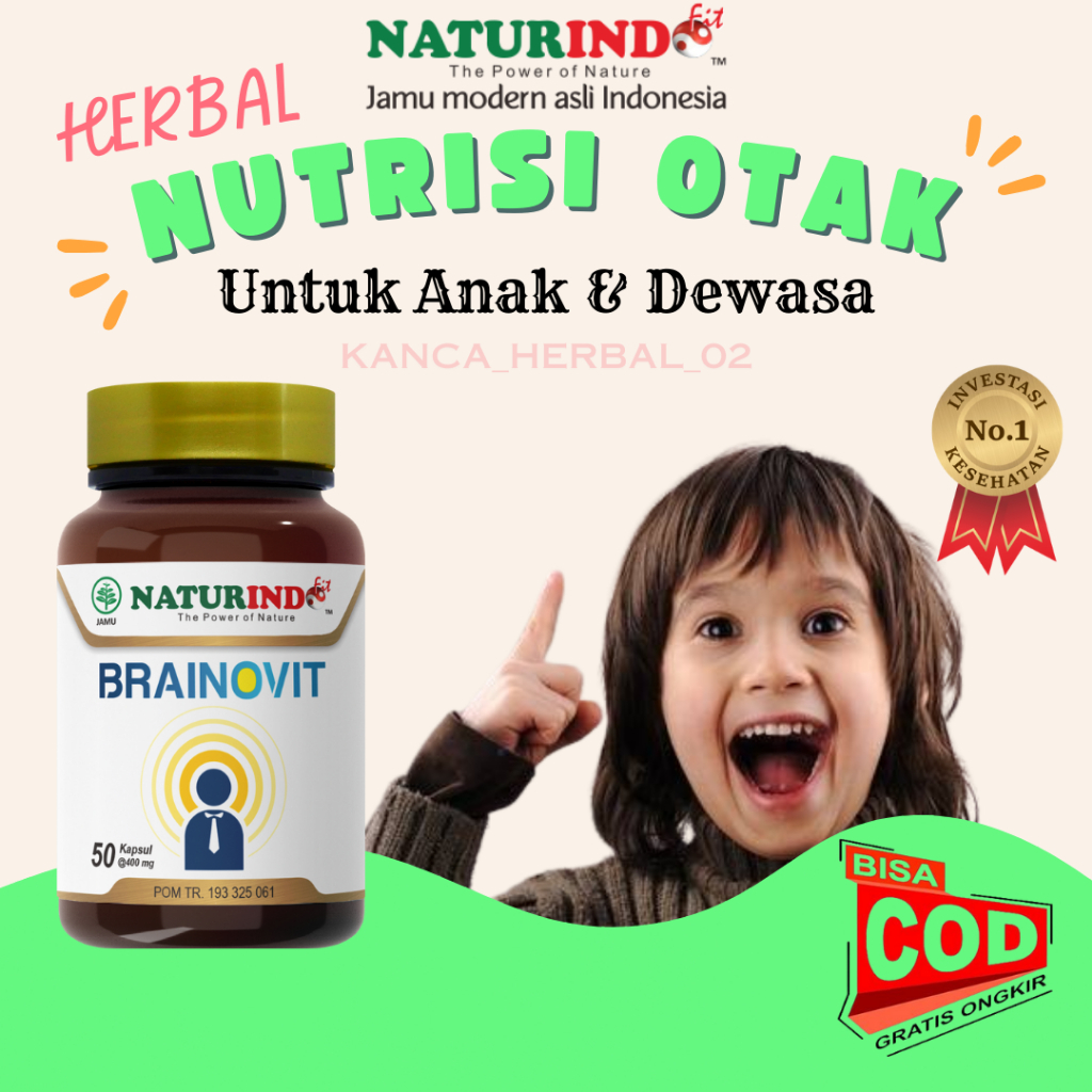 Jual Nutrisi Kecerdasan Otak Anak Vitamin Otak Obat Herbal Daya Ingat ...