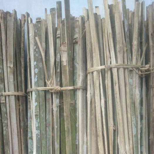 Jual bilah bambu ajir turus tanaman rambat ukuran 30cm siap pakai ...