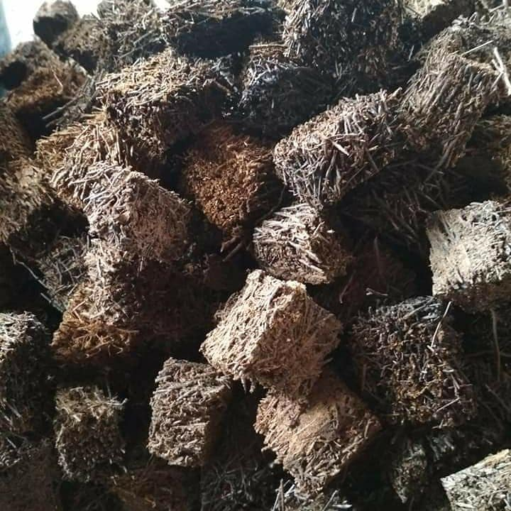 pakis kotak media tanam anggrek 500gram siap pakai
