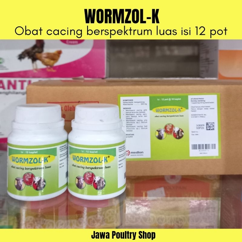 Jual WORMZOL-K Isi 12 Pot 10 Kaplet ORIGINAL - Obat Cacing Untuk ...