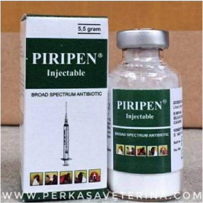 Jual Piripen Serbuk 5.5gr Penstrep Obat Hewan Sapi Kuda Kambing Babi ...