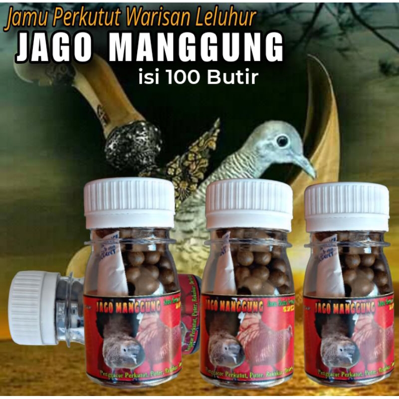 Jual PIL JAGO MANGGUNG jamu perkutut 100 Butir jamu perkutut warisan ...