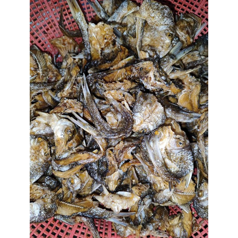 Jual Ikan Turik Balah Goreng Danau Singkarak | Shopee Indonesia