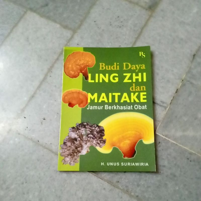 Jual Budi Daya Ling Zhi dan Maitake Jamur Berkhasiat Obat (H. Unus