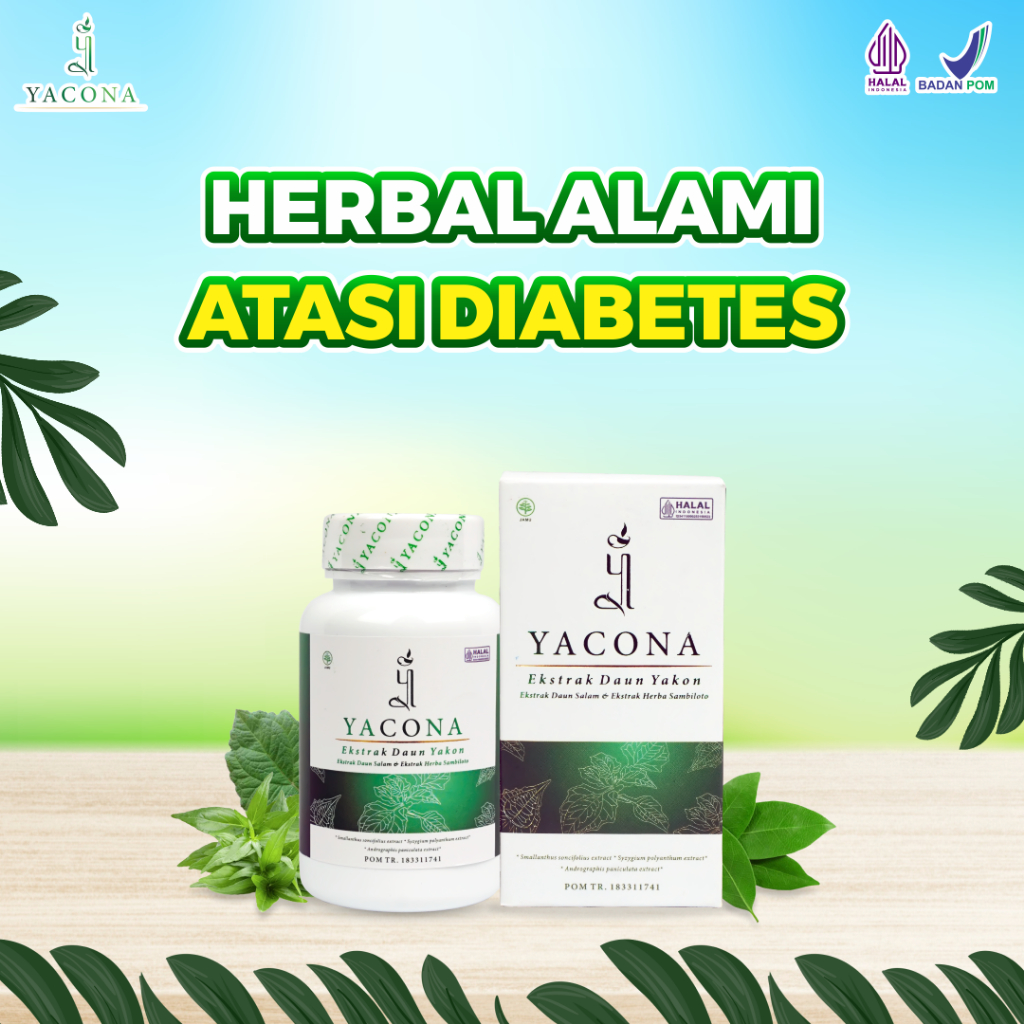 Jual Yacona Obat Diabetes Bantu Turunkan Gula Darah Tinggi Perbaiki Sel