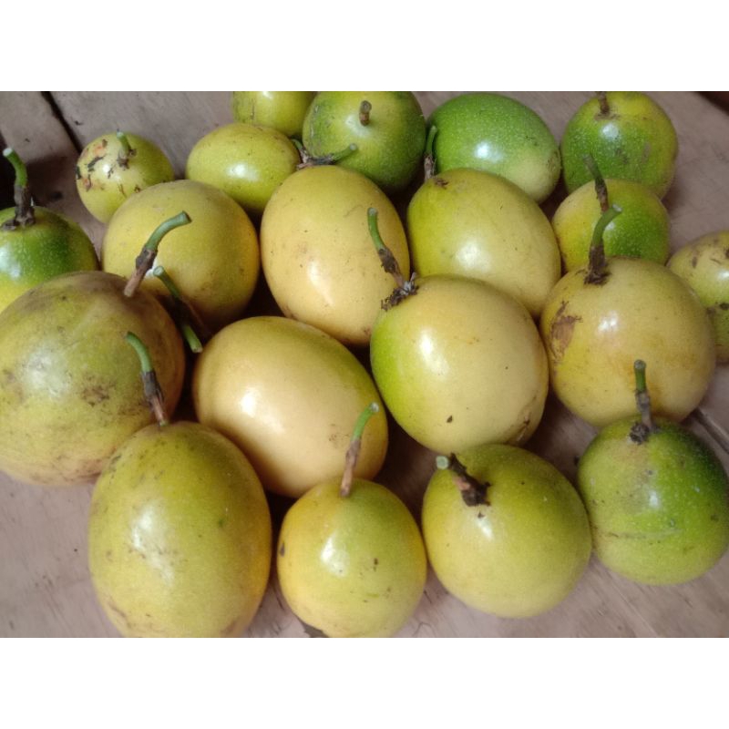 Jual Buah Markisa Atau Saprola Segar Kg Shopee Indonesia