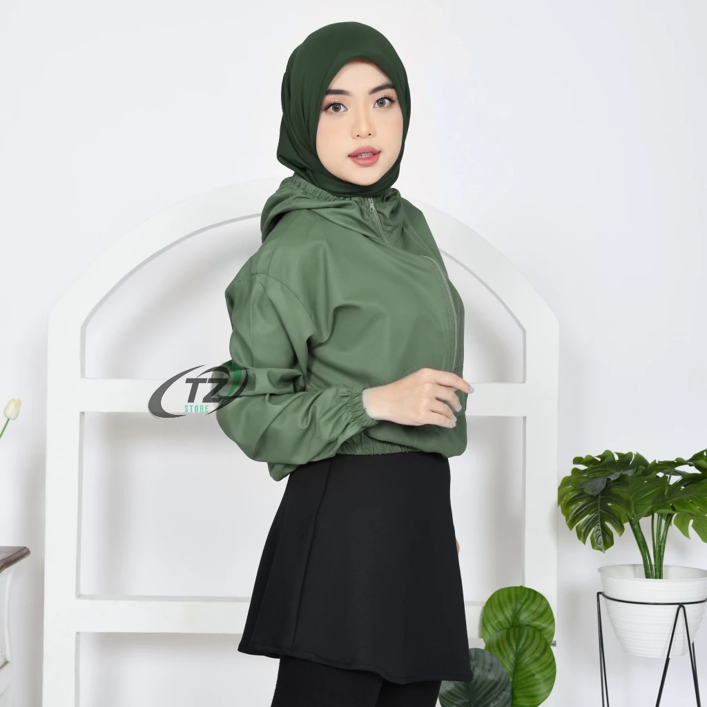 Gambar Promo di atas form