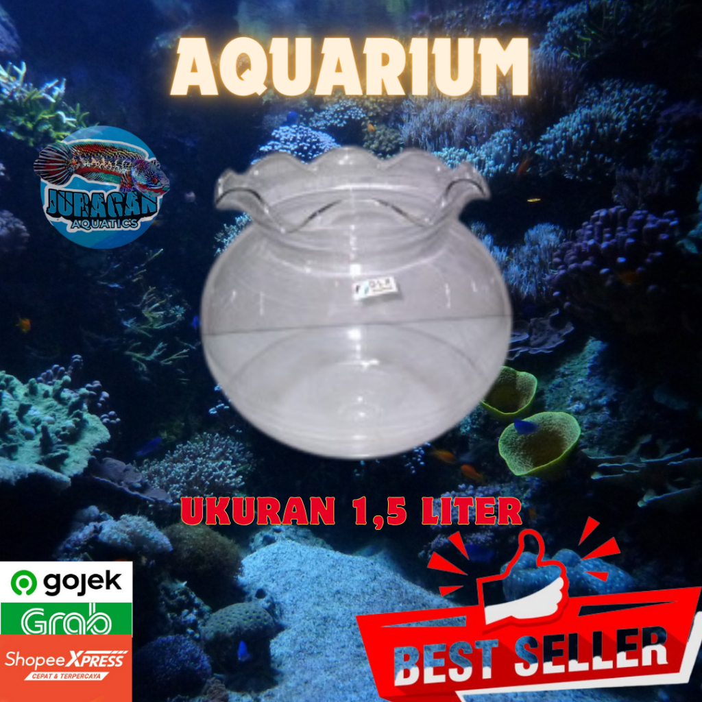 Jual Aquarium Kaca Bulat Ukuran 1.5 Liter - Aquarium Bulat 1.5 Liter ...