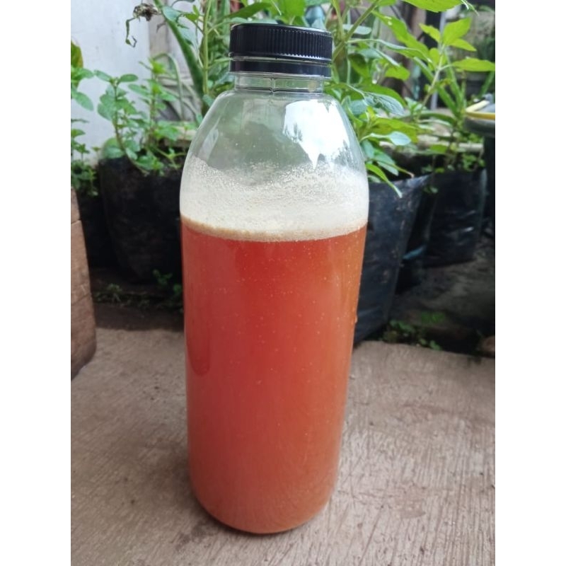 Jual POC fermentasi bonggol pisang kemasan botol 1 liter | Shopee Indonesia
