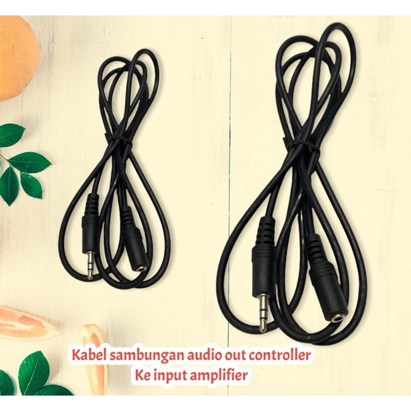 Jual kabel sambungan audio out controller ke amplifier | Shopee Indonesia