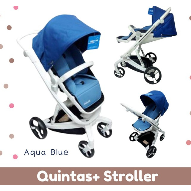Cocolatte quintas plus deals
