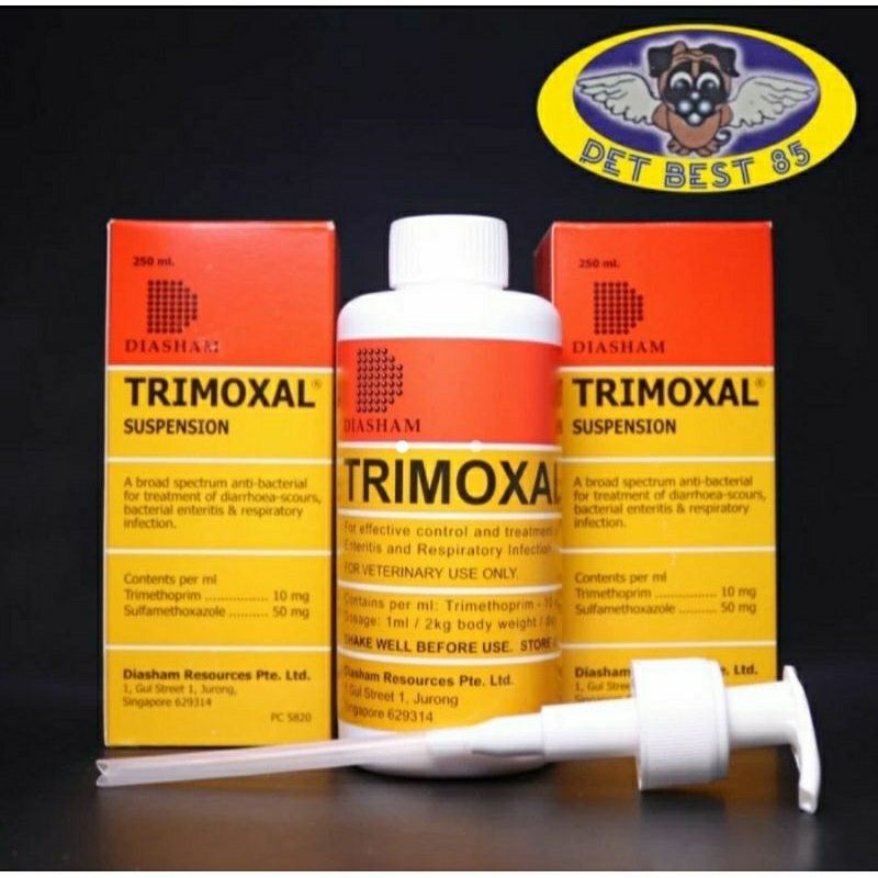 Jual Trimoxal Suspension 250ml obat Diare/infeksi pernapasan semua ...