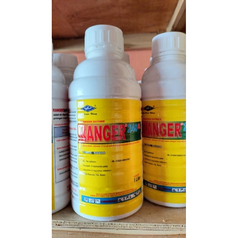 Jual OBAT RUMPUT HERBISIDA RANGER 240SL ISI 1L | Shopee Indonesia