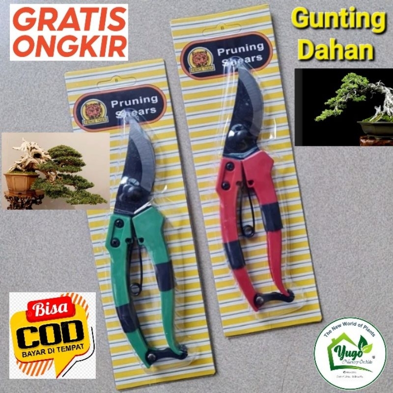 Jual Gunting Dahan Gunting Bonsai Gunting pruning ranting Gunting ...