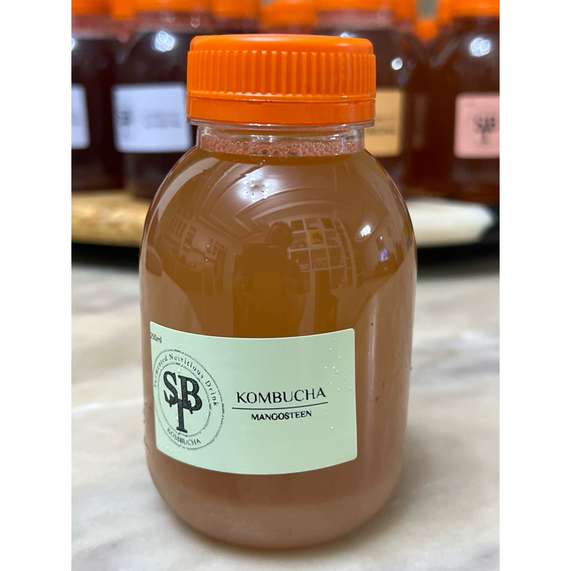 Jual KOMBUCHA MANGOSTEEN 250ml Shopee Indonesia