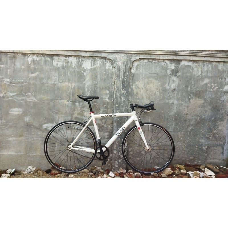 Jual fixie brain medulla | Shopee Indonesia