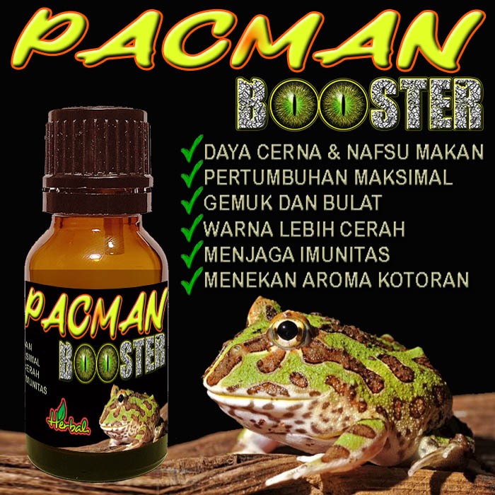 Jual PACMAN BOOSTER MULTIVITAMIN KODOK KATAK PACMAN FROG OBAT ...