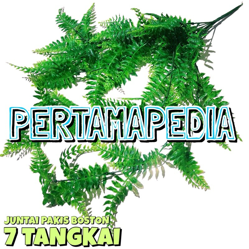 Jual HARGA LUSINAN ISI 12 PCS JUNTAI PAKIS BOSTON/ Bunga Plastik/ Daun ...
