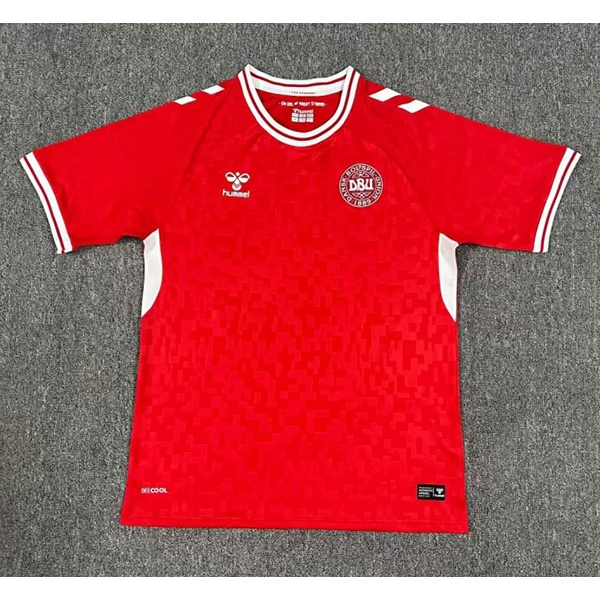 Jual Jersey Denmark Home Euro 2024 2025 Grade Ori Jersey Bola Terbaru