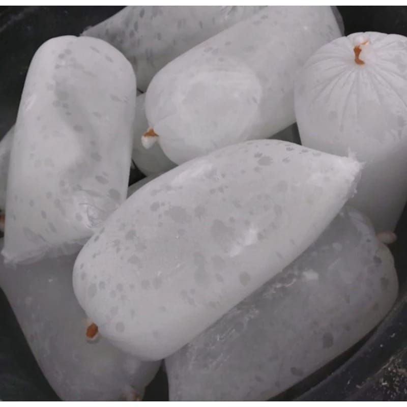 Jual Es Batu balok kemasan plastik 1kg | Shopee Indonesia