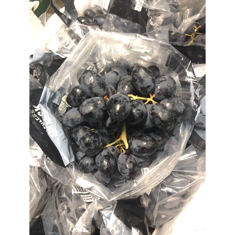 Jual Anggur Autumn Royal Australia Kangara Gold /kg | Shopee Indonesia