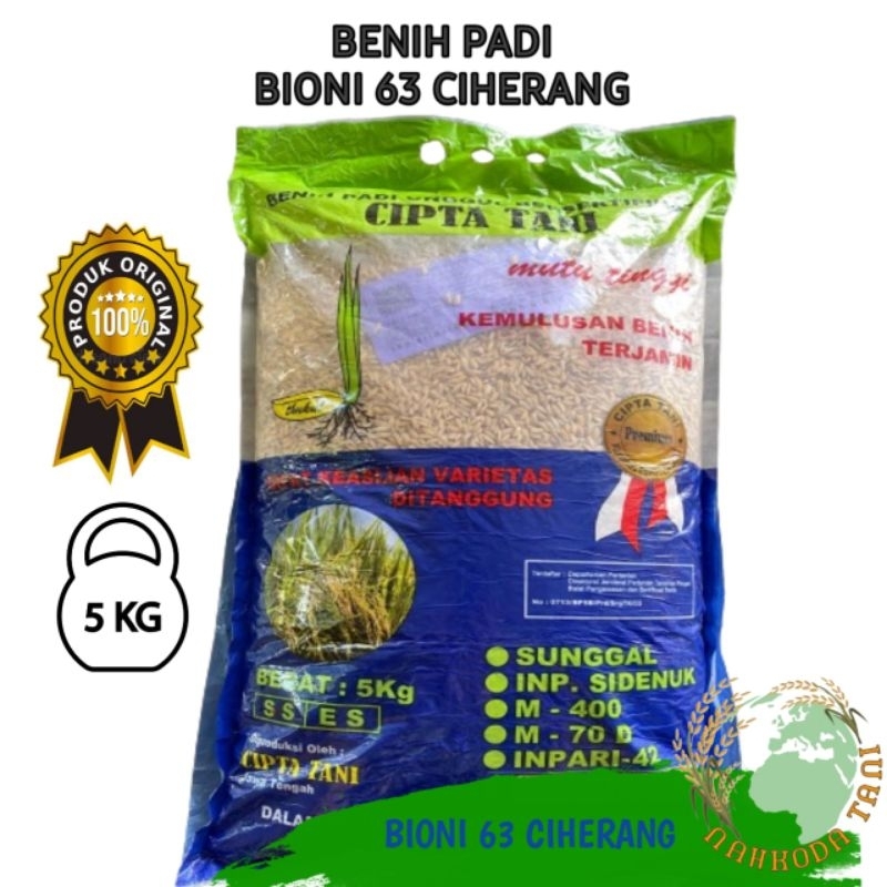 Jual benih padi bioni 63 ciherang ( tahan wereng dan tahan kering ...