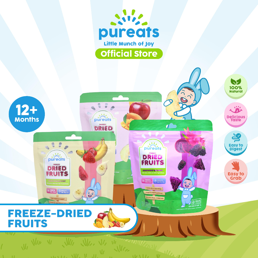 Jual Pureats Freeze Dried Fruits 15g | Shopee Indonesia