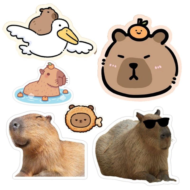 Jual capybara cartoon stickers lucuu imut aesthetic trendy swag slayy ...