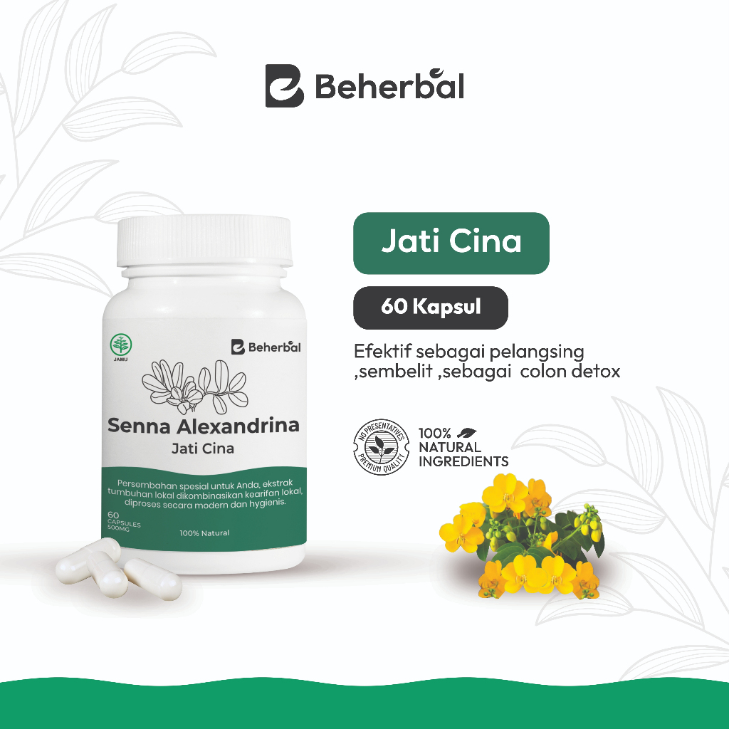 BEHERBAL Kapsul Jati Cina – Detox Usus Alami, Bantu Pelangsing, Lancarkan BAB & Atasi Sembelit