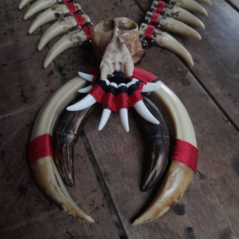 Jual Kalung Dayak Taring Babi Variasi Tengorak Kalung Taring Macan ...