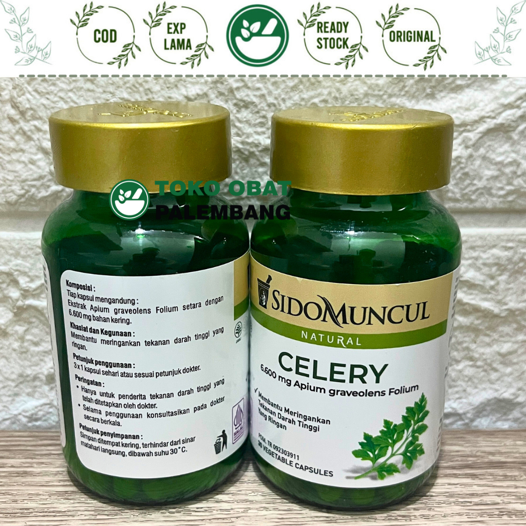 SIDOMUNCUL CELERY 30 KAPSUL SIDO MUNCUL DAUN SELEDRI TEKANAN DARAH TINGGI