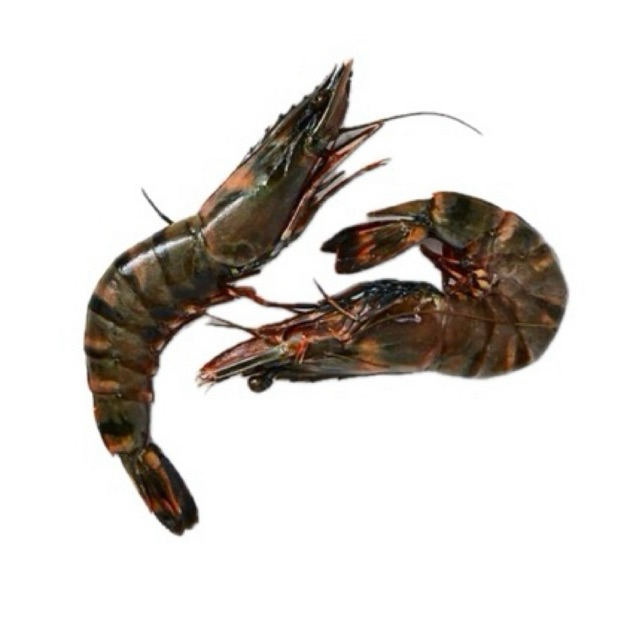 Jual Tiger Prawn Udang Tiger Frozen Gram Shopee Indonesia