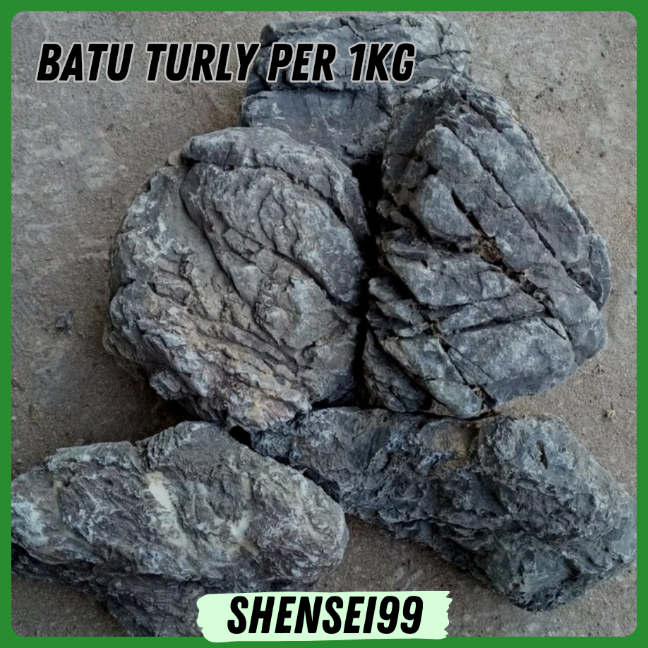 Jual BATU TURLY PER KG HARDSCAPE AQUARIUM AQUASCAPE TAMAN | Shopee ...