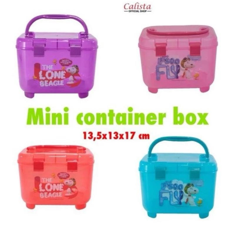 Jual Mini Container box / tempat souvenir / tempat hampers / calista ...