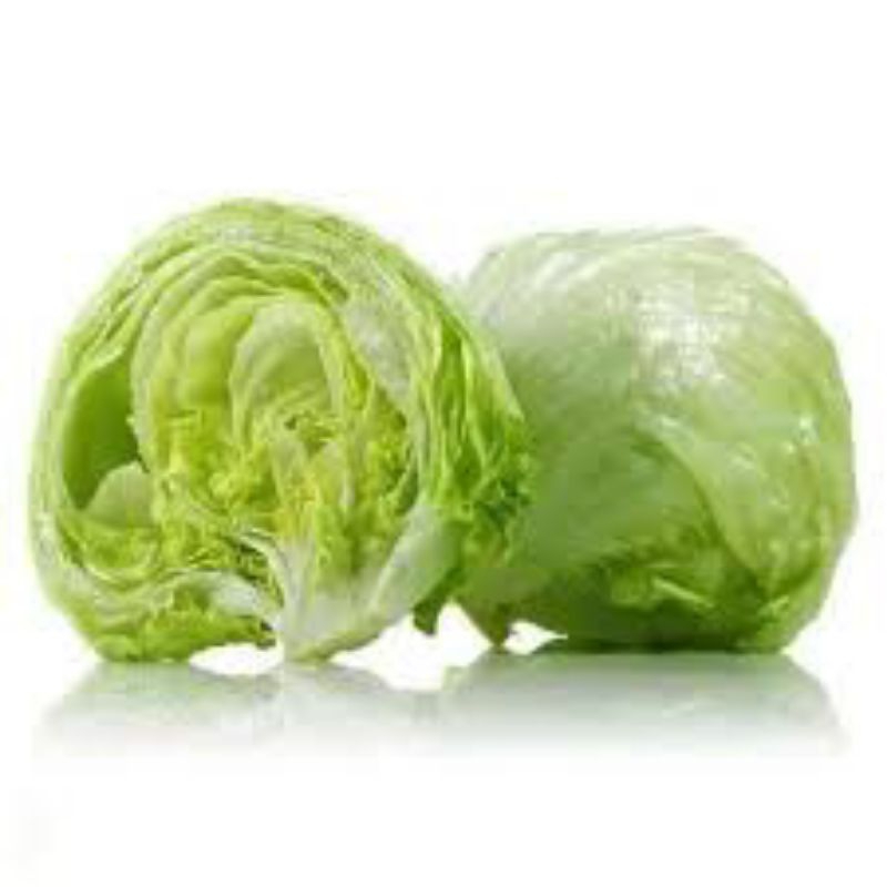 Jual head letuce 500gram | Shopee Indonesia