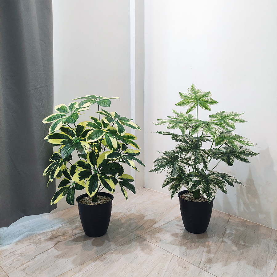 Tanaman daun walisongo variegata D18 artificial dekorasi hias rumah kantor studio cafe b8399