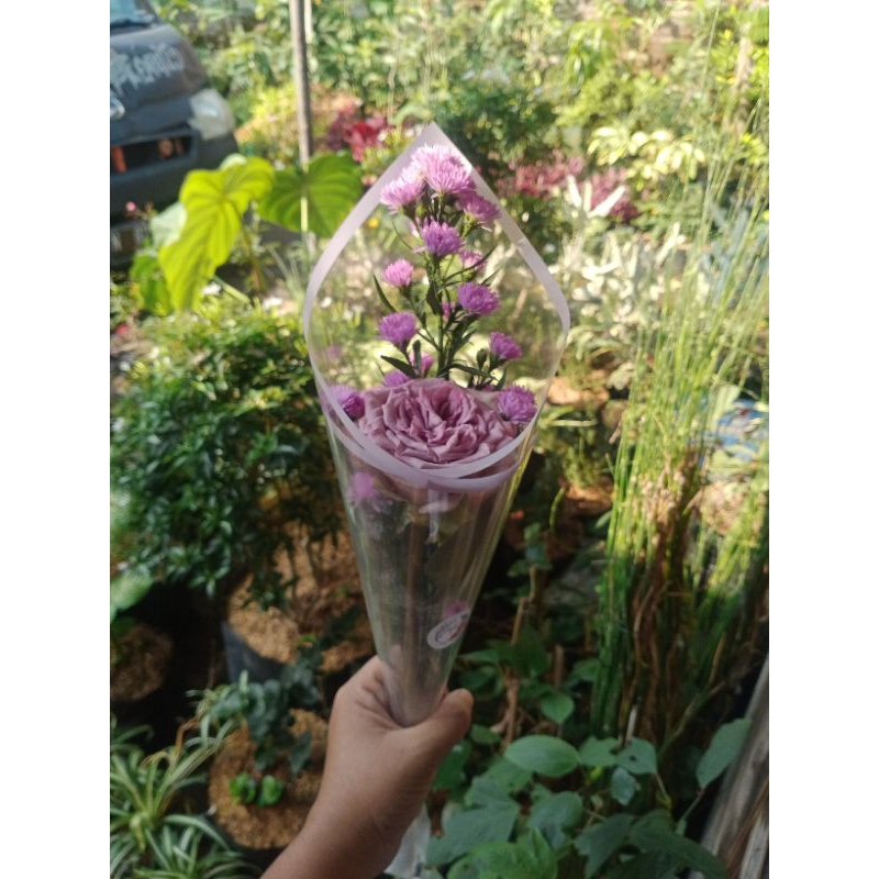 Jual fresh flower buket bunga asli bunga hidup | Shopee Indonesia