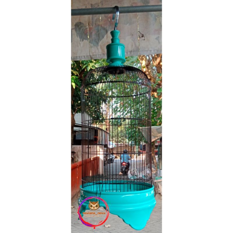 Er xotinini dostlari oldida yechintirmoqda