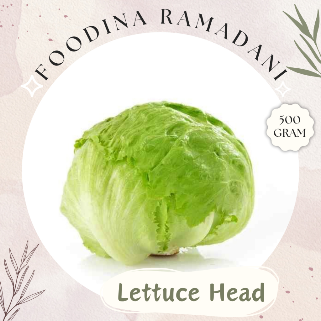 Jual LETTUCE Head - Salada Letus Bulat [ Berat 500gr ] Harga Per 0,5 Kg ...